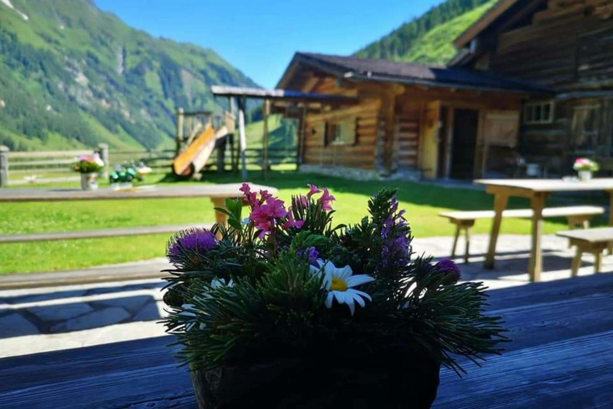 Jana 4 By Smr Rauris Apartments - Inc Spa And Near Gondola Eksteriør billede
